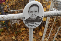 Дробышева Дарья Ефимовна