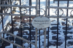 Насильникова Аграфена Михайловна