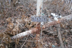 3030