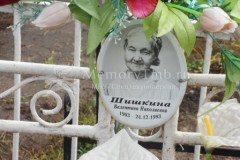 Шишкина Валентина Николаевна