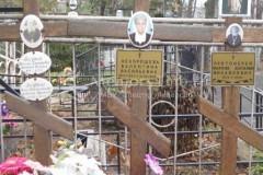 Лагутина Агния Константиновна