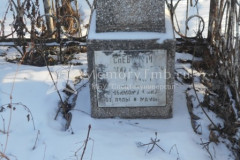 Тоневицкий Анатолий Николаевич