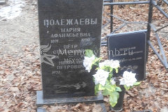 Полежаев Владимир Петрович