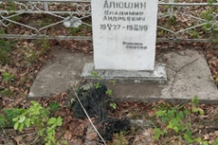 Алюшин Владимир Андреевич