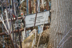 Бастрыкин Сергей Семёнович
