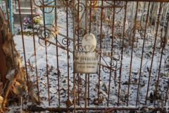 Медведева Елизавета Андреевна