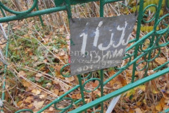 11999