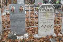 Чинаровы