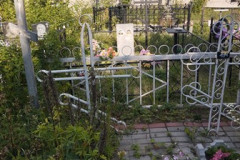 (484) Вишнякова Анастасия Михайловна