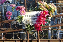 Гладышева Галина Васильевна