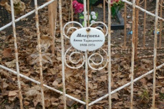 Милушева Аминя Таджединовна