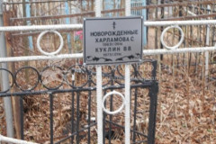 Куклин В В
