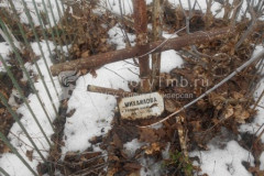 Михайлова Евдокия Васильевна
