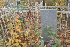 Комаровы