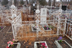 Васина