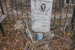 Воронов Анатолий Васильевич