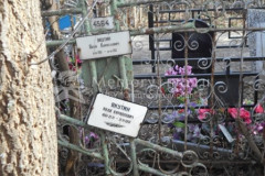 Якутин Яков Кириллович