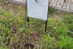 Хвалова Агриппина Дмитриевна