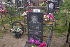 Мишин Валерий Николаевич