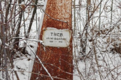 Туев Архип Фёдорович