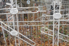 Семеновы