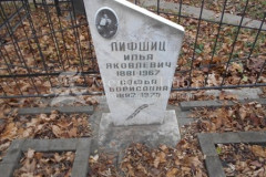 Лифшиц Софья Борисовна