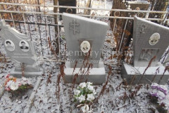 Сапожников Владимир Алексеевич