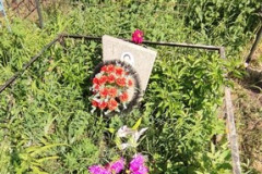 Боброва Нелли Николаевна
