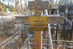 Теселкина  Наталия  Витальевна