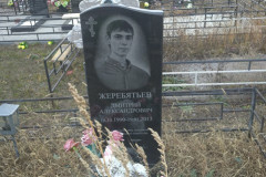 Жеребятьев Дмитрий Александрович