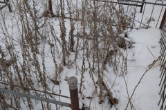 Безымянная