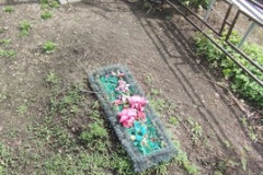 Безымянная