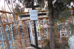Муравьёва Анастасия Семёновна