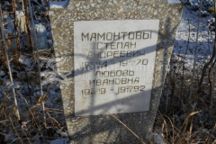 Мамонтова Любовь Ивановна