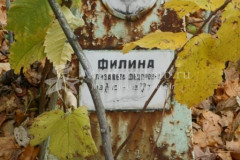 Филина Елизавета Федоровна