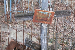 Боева А И