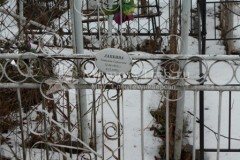 Лапкина Татьяна Сергеевна