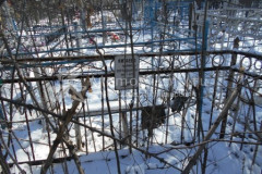 Китаева Мария Евграфьевна
