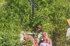 Гарнцева Наталья Викторовна