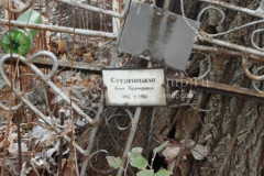 Студенецкая Анна Леонидовна
