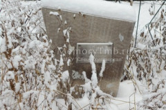 Юрьева Мария Устиновна