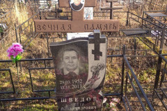Шведов Петр Александрович