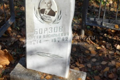 Борзов  Сергей  Васильевич