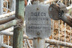 Балакина Наталья Павловна