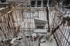 Овчинникова Дарья Константиновна