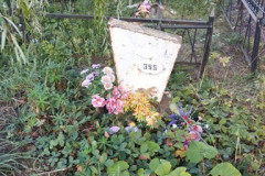 (355) Коновалов Иван Дмитриевич