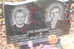 Емельяновы