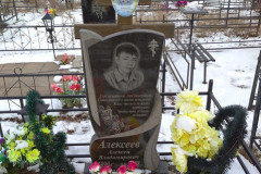 Алексеев Алексей Владимирович
