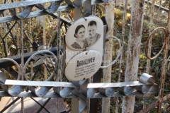 Делициева  Лариса  Михайловна