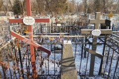 Васяева Екатерина Николаевна
